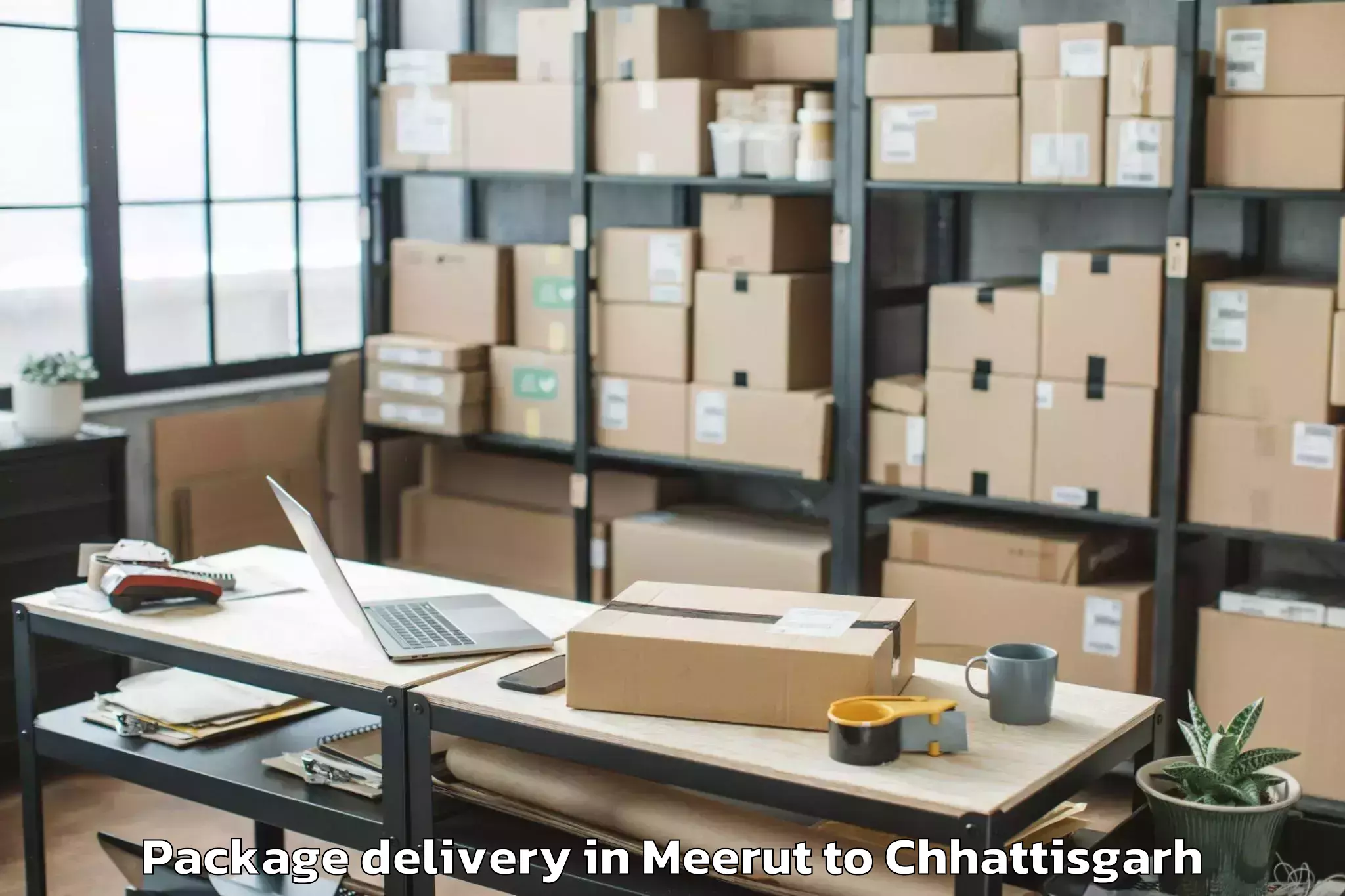 Meerut to Bhalai Package Delivery Booking